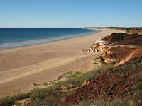 Beach, Barn Hill Station
